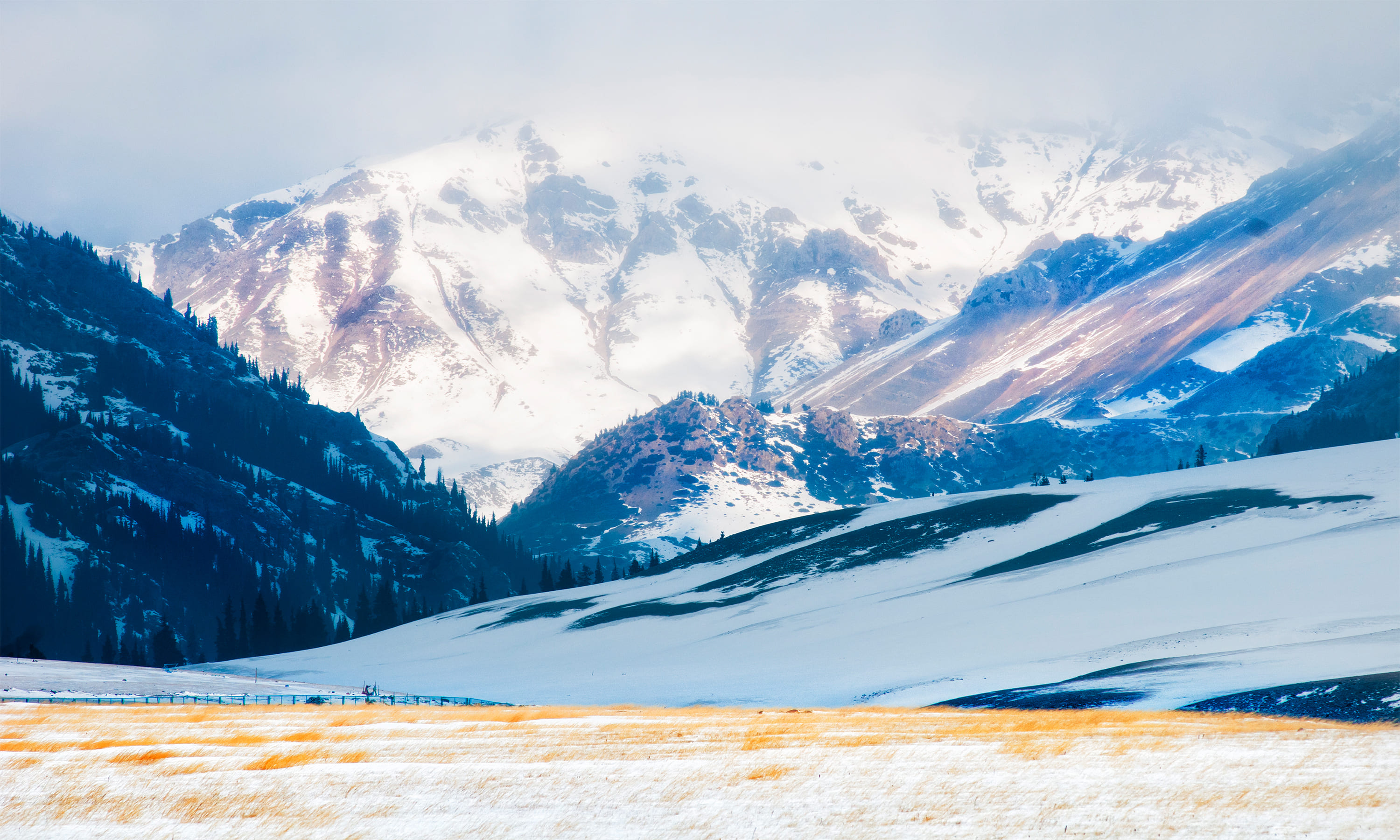 Arctic Expedition