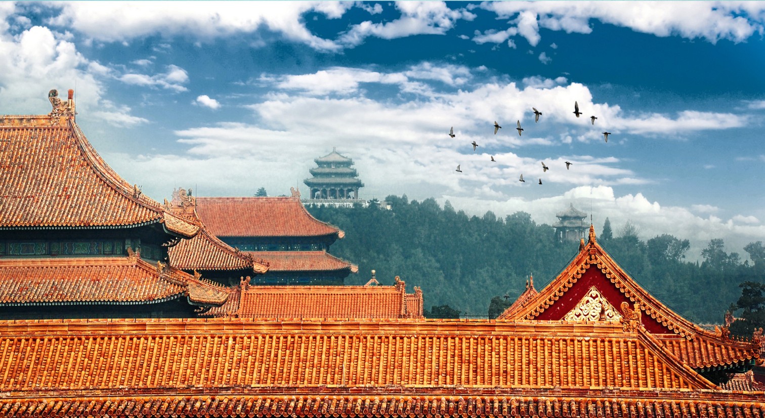 The Forbidden City